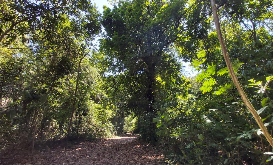 Plataforma do Estado simula os repasses de ICMS Ecológico por Unidades de Conservação