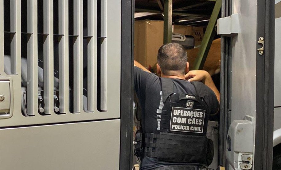 PCPR apreende 71,8 quilos de maconha e prende trio em Mandaguari