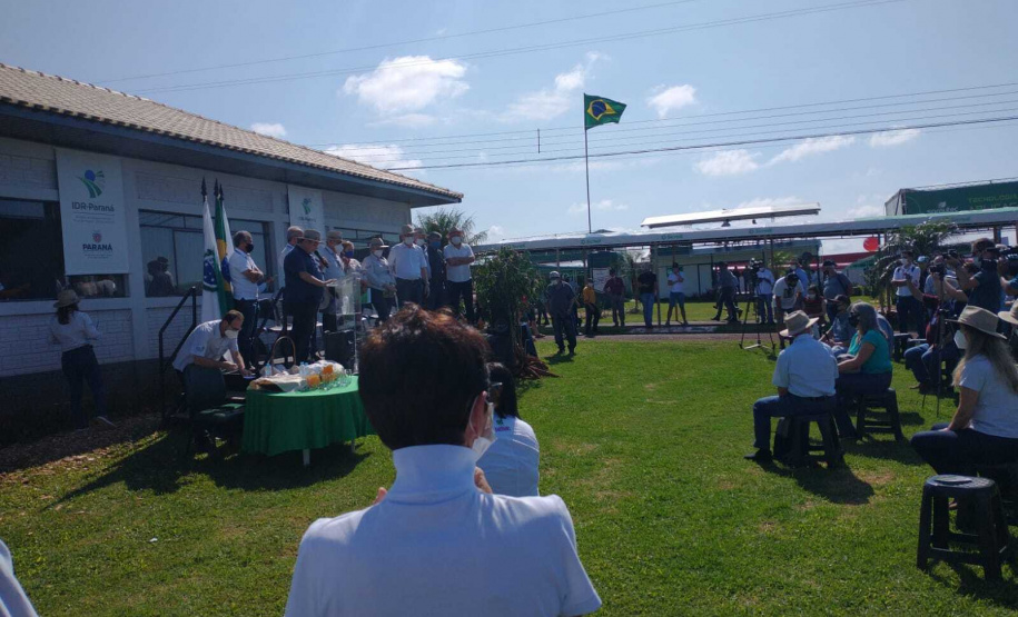 IDR-Paraná apresenta cultivares de mandioca, soja e maracujá ao setor produtivo