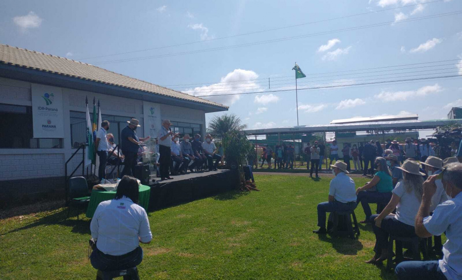IDR-Paraná apresenta cultivares de mandioca, soja e maracujá ao setor produtivo