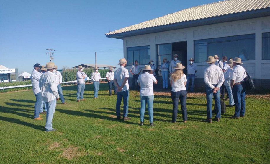 IDR-Paraná apresenta cultivares de mandioca, soja e maracujá ao setor produtivo