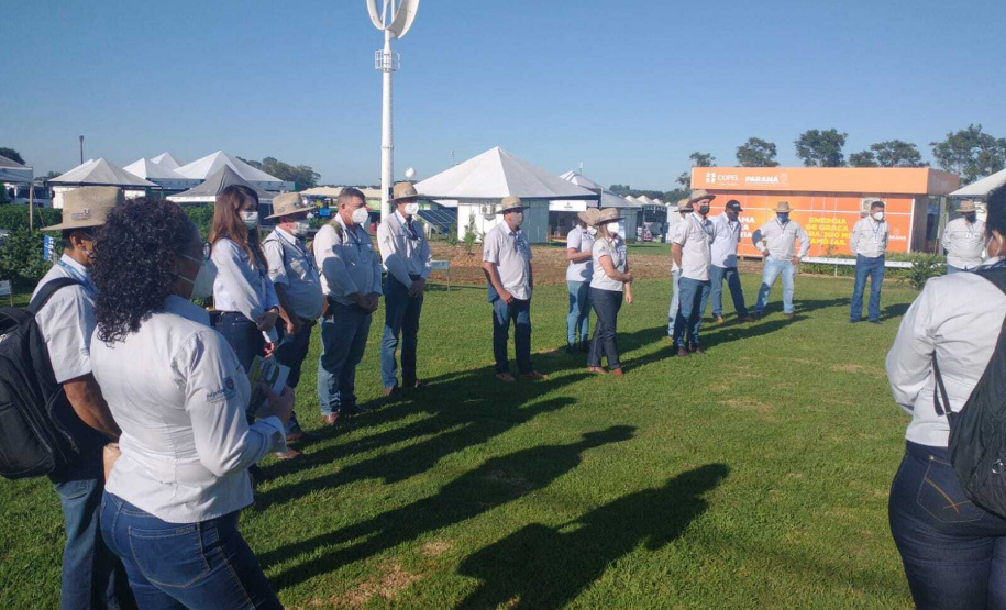 IDR-Paraná apresenta cultivares de mandioca, soja e maracujá ao setor produtivo