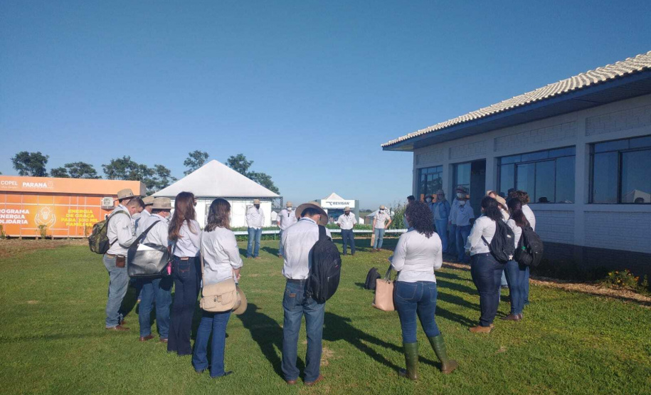 IDR-Paraná apresenta cultivares de mandioca, soja e maracujá ao setor produtivo
