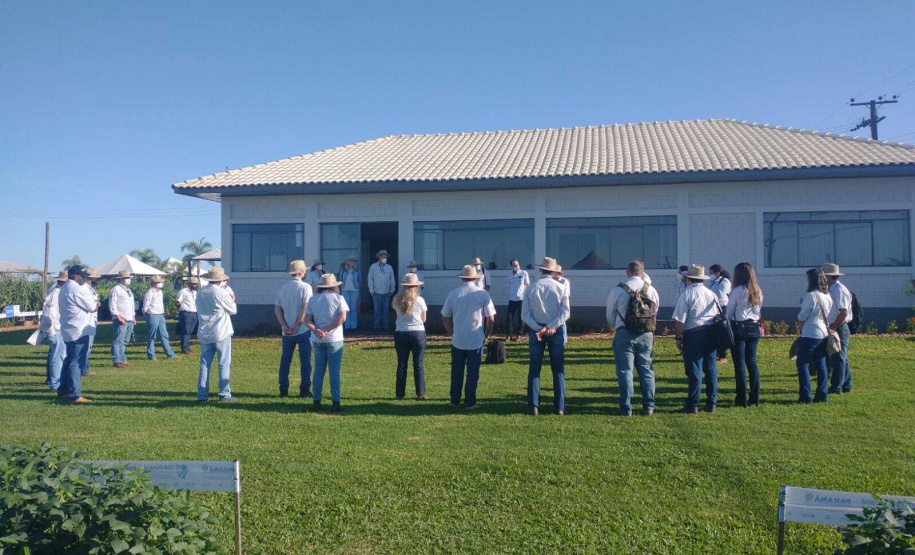 IDR-Paraná apresenta cultivares de mandioca, soja e maracujá ao setor produtivo
