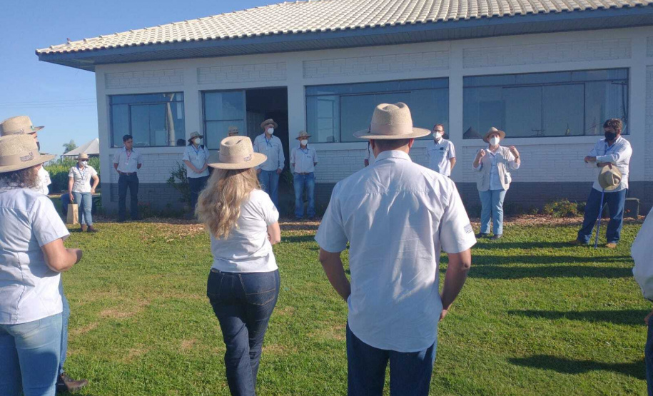 IDR-Paraná apresenta cultivares de mandioca, soja e maracujá ao setor produtivo