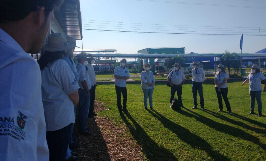 IDR-Paraná apresenta cultivares de mandioca, soja e maracujá ao setor produtivo