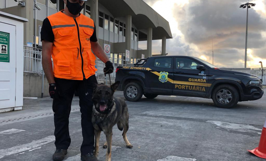 Portos do Paraná reforçam segurança com inspeções com cães de faro