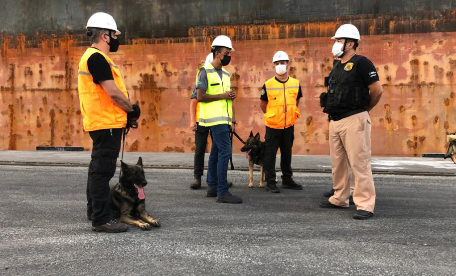 Portos do Paraná reforçam segurança com inspeções com cães de faro