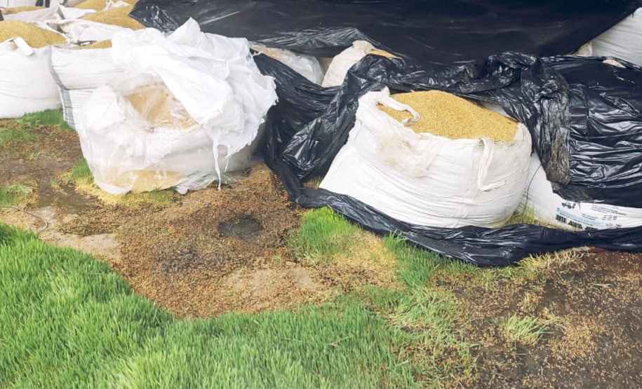 PM recupera 35 toneladas de cevada e insumo agrícola desviados em Paranaguá, no Litoral do estado