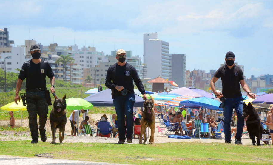 Cães policiais da Polícia Civil interagem com a sociedade no Litoral