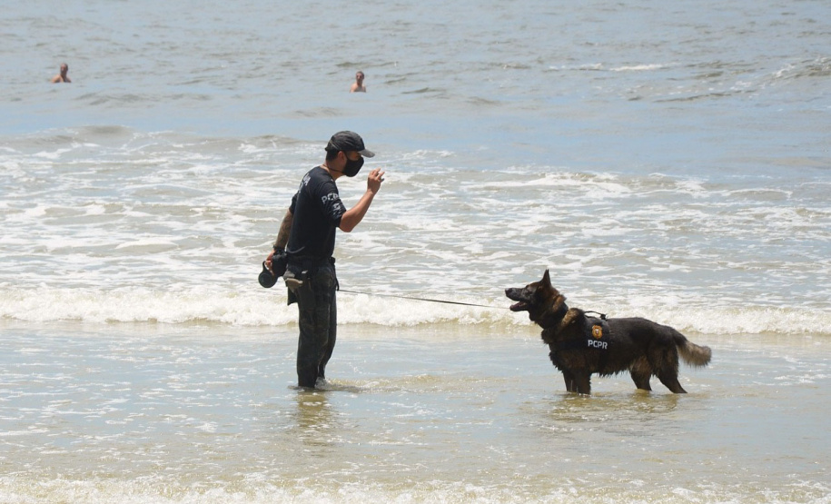 Cães policiais da Polícia Civil interagem com a sociedade no Litoral