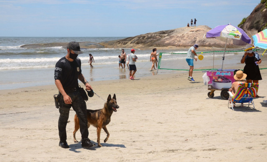 Cães policiais da Polícia Civil interagem com a sociedade no Litoral
