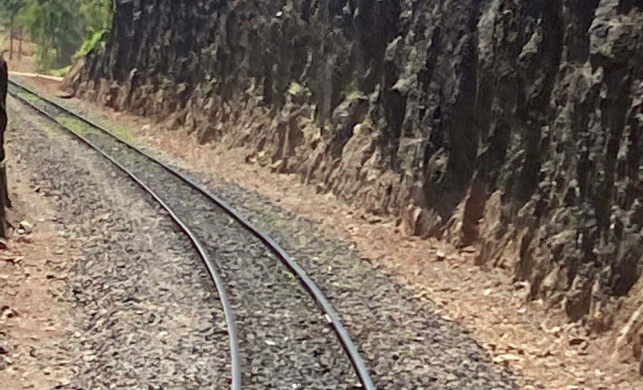 Com alta de 13% na movimentação em 2021, Ferroeste impulsiona economia do Paraná