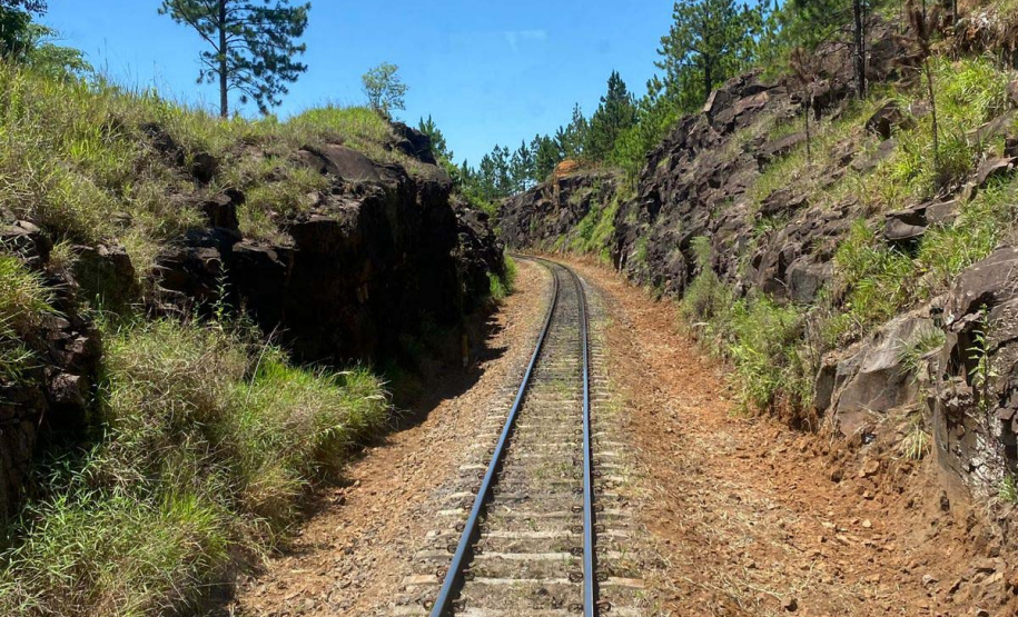 Com alta de 13% na movimentação em 2021, Ferroeste impulsiona economia do Paraná