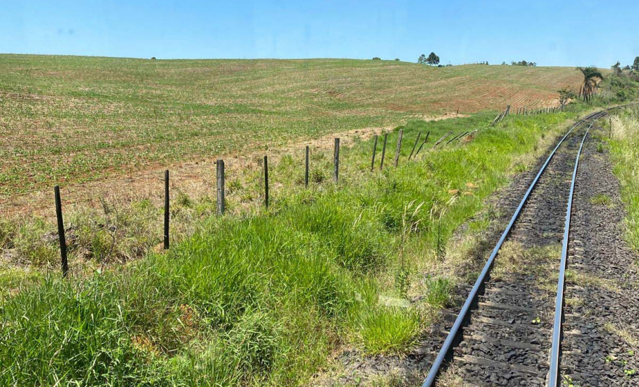 Com alta de 13% na movimentação em 2021, Ferroeste impulsiona economia do Paraná