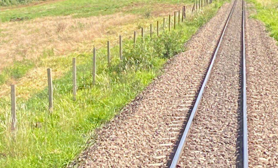 Com alta de 13% na movimentação em 2021, Ferroeste impulsiona economia do Paraná