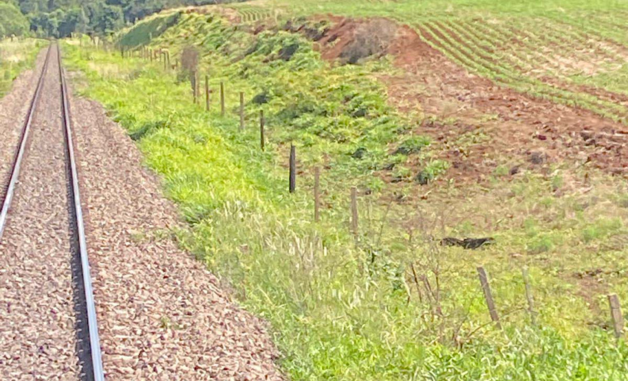 Com alta de 13% na movimentação em 2021, Ferroeste impulsiona economia do Paraná