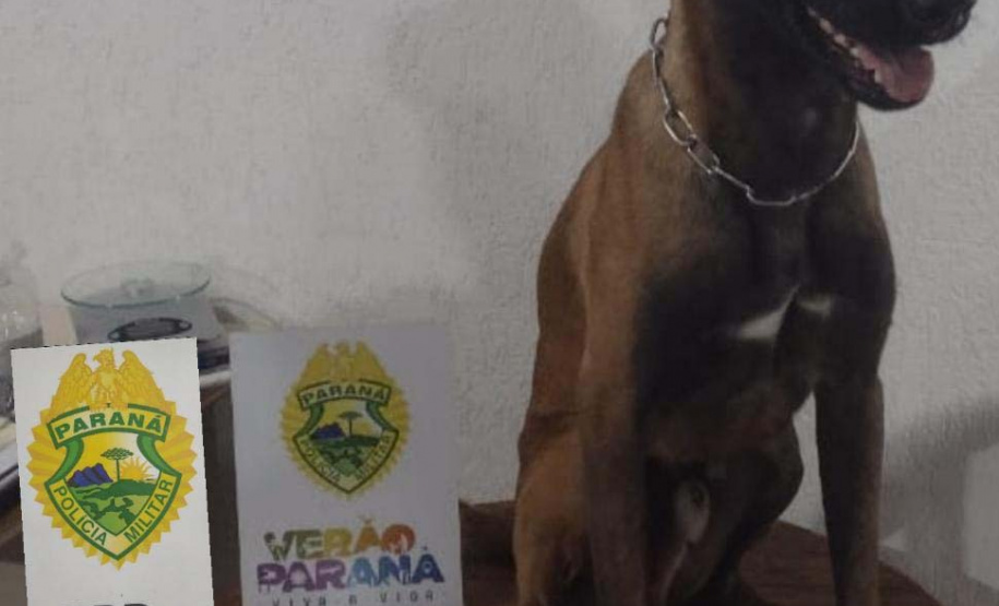 Em diferentes cidades, policiais rodoviários estaduais apreendem 200 quilos de maconha, porções de crack e equipamentos eletrônicos