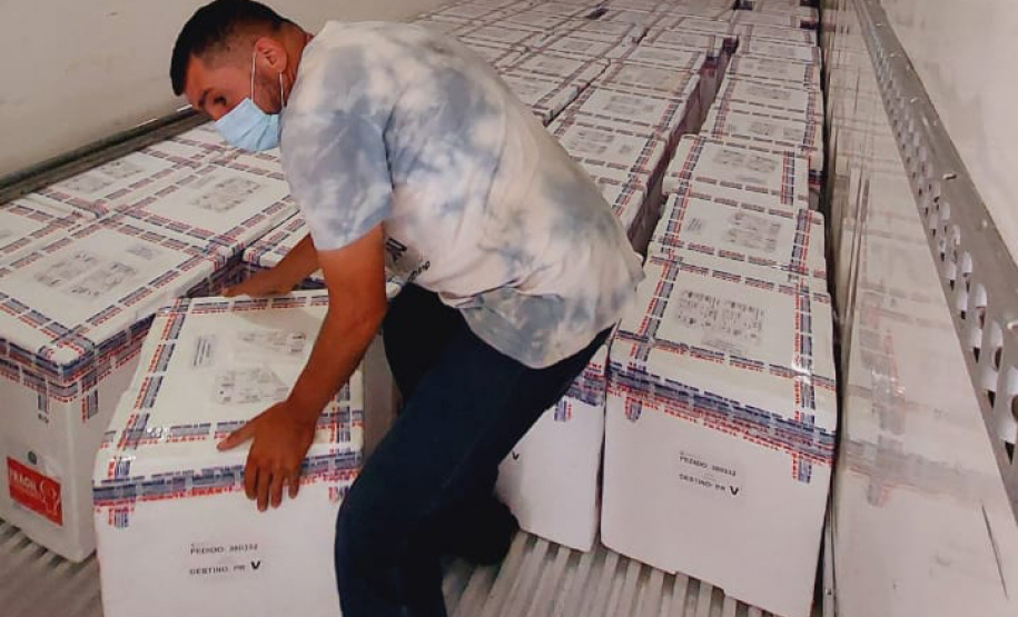 Paraná recebe 914 mil vacinas contra a Covid-19 e mais 294 mil Pfizer devem chegar ainda hoje