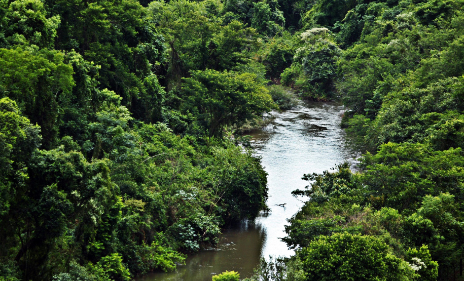 IAT conversa com comunidade sobre a utilização de recursos hídricos dos rios São Camilo e Jesuítas