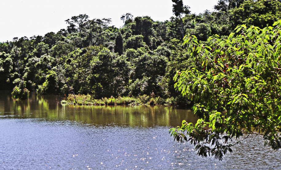 IAT conversa com comunidade sobre a utilização de recursos hídricos dos rios São Camilo e Jesuítas