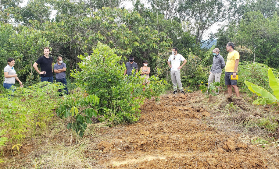 UFPR/PRAD-Portos do Paraná