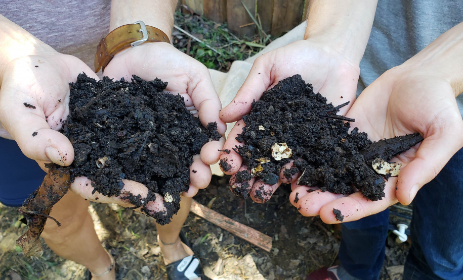 Começam vistorias do projeto Selo Verde, na Ilha do Mel