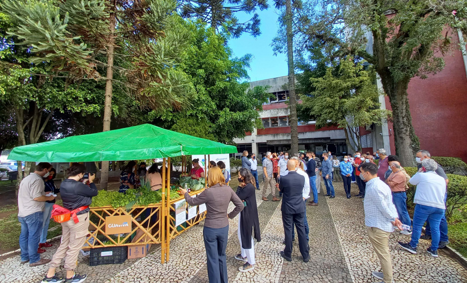 Produtores do Miringuava fazem feirinha de orgânicos na sede da Sanepar