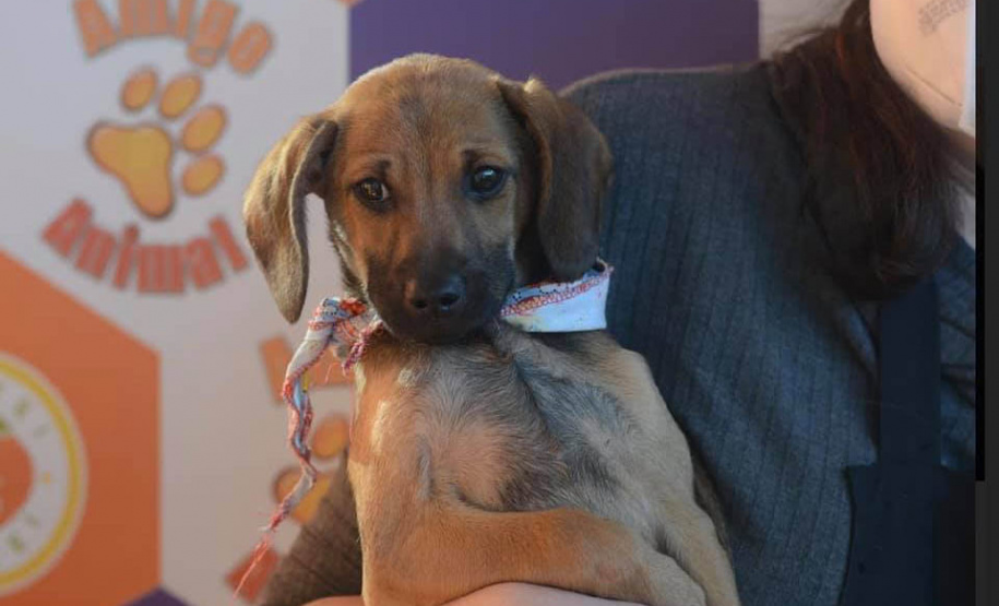 Entidades cadastradas no Nota Paraná devem manter atualização cadastral em dia para receber valores