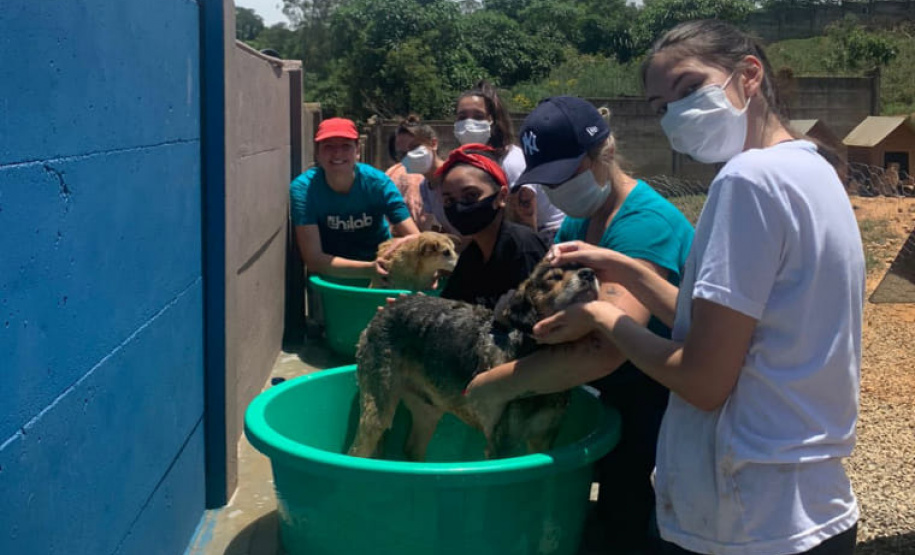 Entidades cadastradas no Nota Paraná devem manter atualização cadastral em dia para receber valores