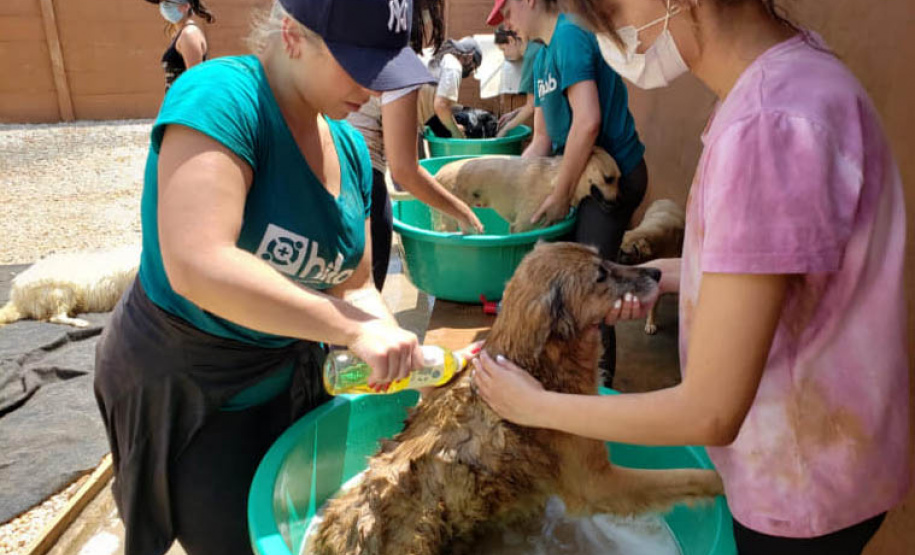 Entidades cadastradas no Nota Paraná devem manter atualização cadastral em dia para receber valores