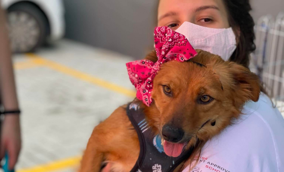 Entidades cadastradas no Nota Paraná devem manter atualização cadastral em dia para receber valores