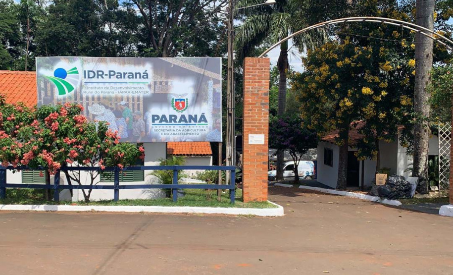 Na ExpoLondrina, IDR-Paraná apresenta tecnologias para agricultura sustentável e geração de renda