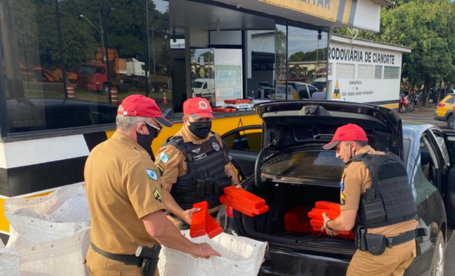 No Paraná, forças policiais tiram de circulação mais de 272 toneladas de drogas