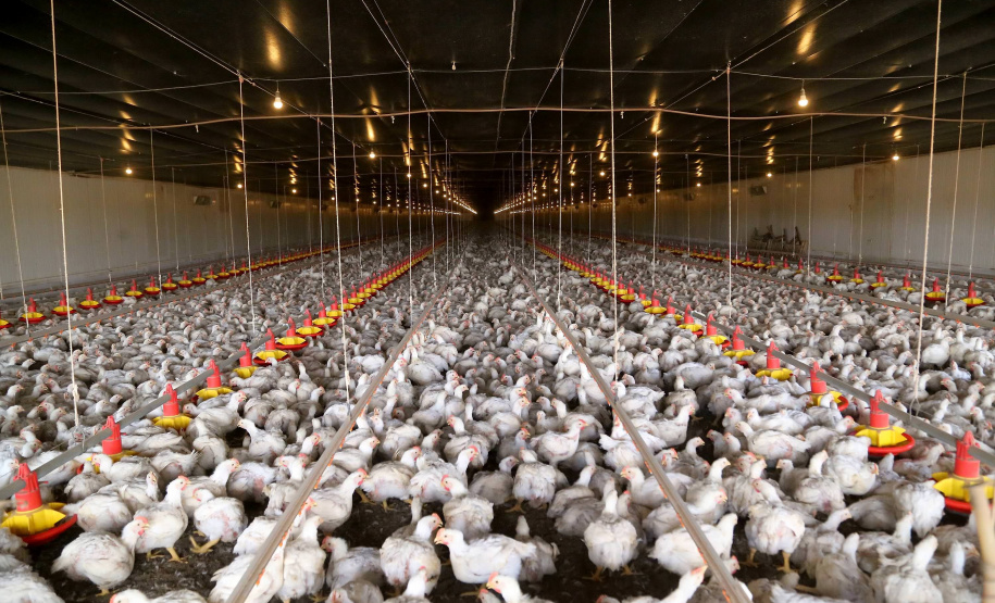 Com juros subsidiados pelo Estado, Banco do Agricultor muda a realidade dos paranaenses
