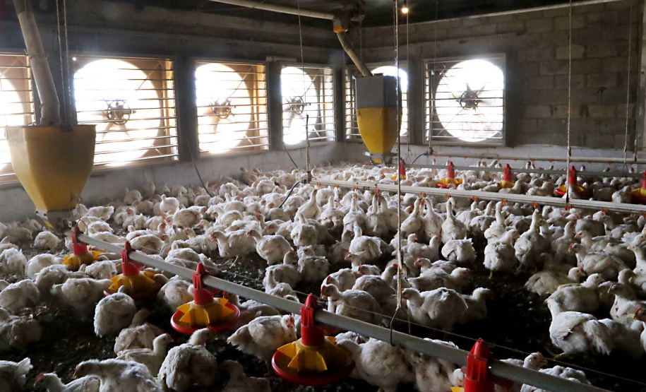 Com juros subsidiados pelo Estado, Banco do Agricultor muda a realidade dos paranaenses