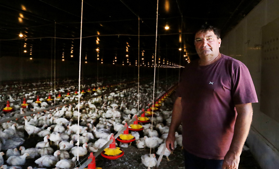 Com juros subsidiados pelo Estado, Banco do Agricultor muda a realidade dos paranaenses