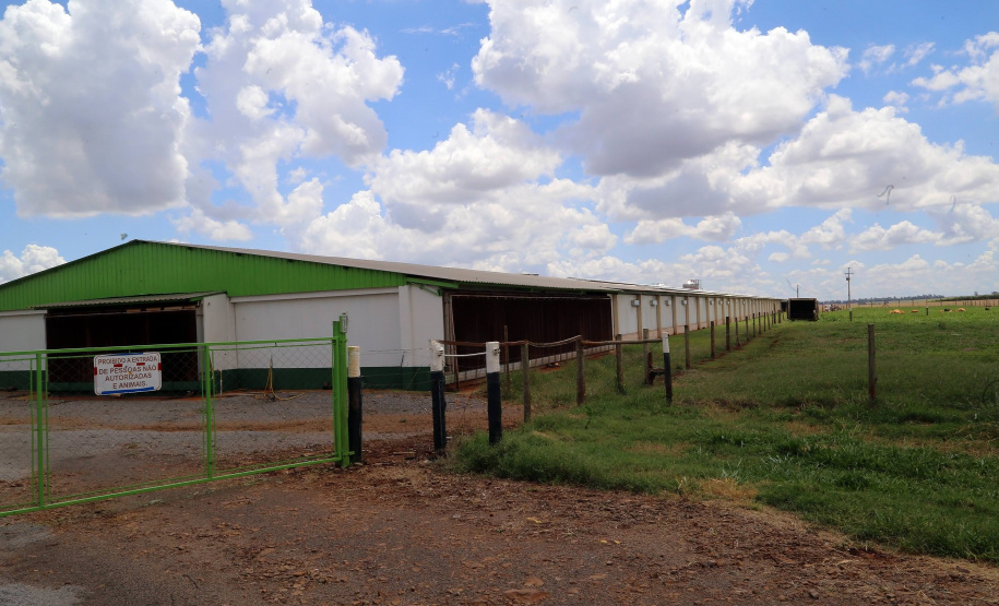 Com juros subsidiados pelo Estado, Banco do Agricultor muda a realidade dos paranaenses