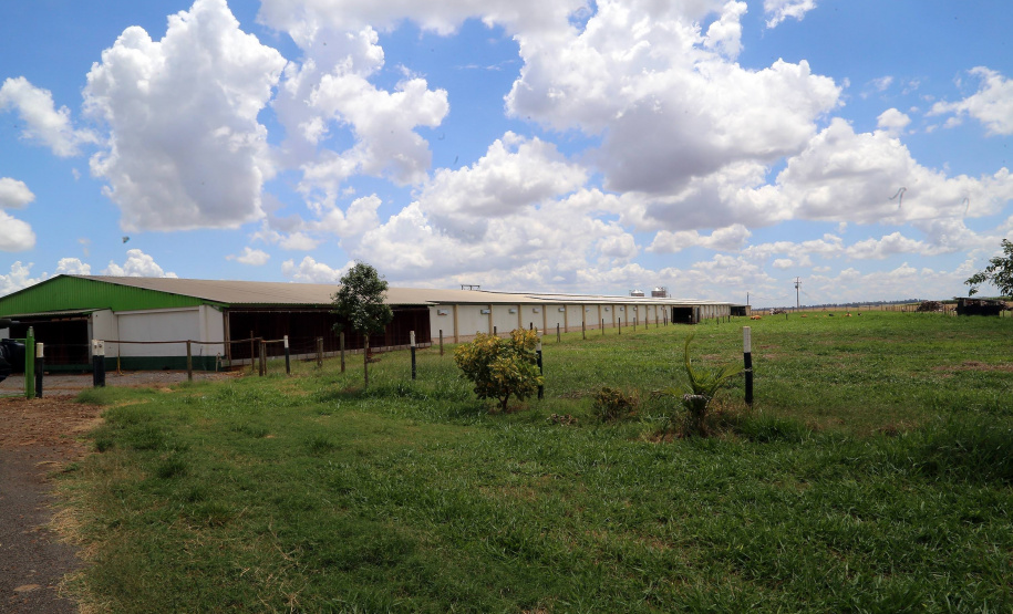 Com juros subsidiados pelo Estado, Banco do Agricultor muda a realidade dos paranaenses