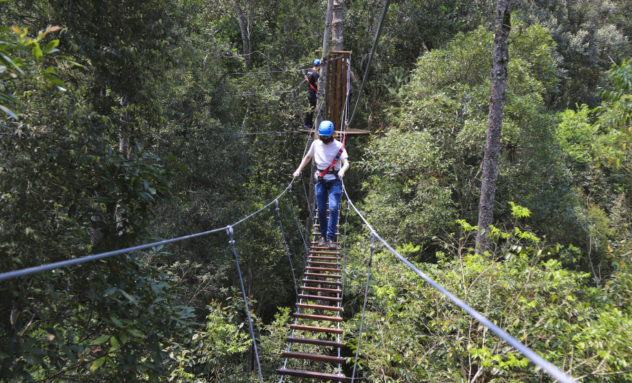 Paraná retoma projeto para regulamentar ecoturismo em Unidades de Conservação