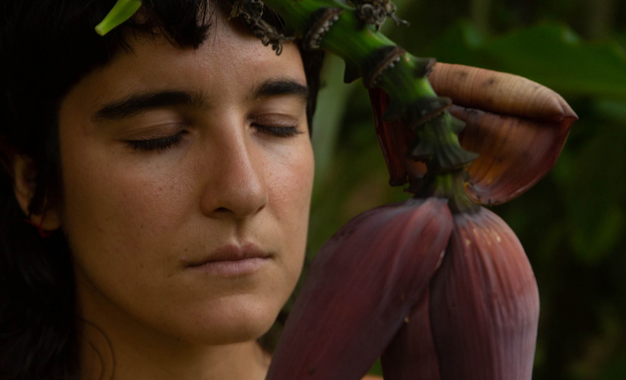 Museu Paranaense tem colheita da horta, cozinha itinerante, performance e nova mostra