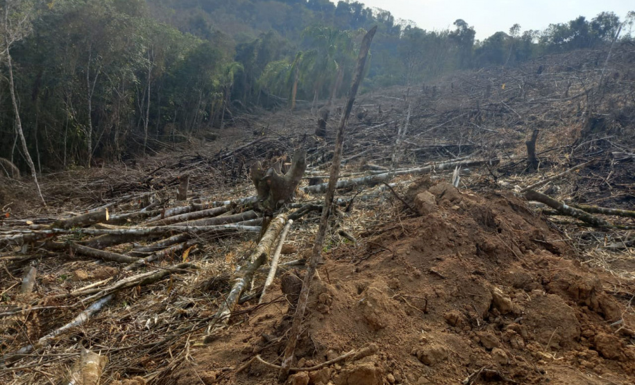 Proteção da fauna paranaense é intensificada com fiscalizações e autuações do Batalhão de Polícia Ambiental no Paraná