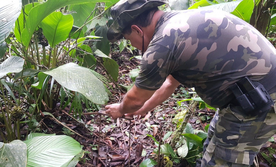 Proteção da fauna paranaense é intensificada com fiscalizações e autuações do Batalhão de Polícia Ambiental no Paraná