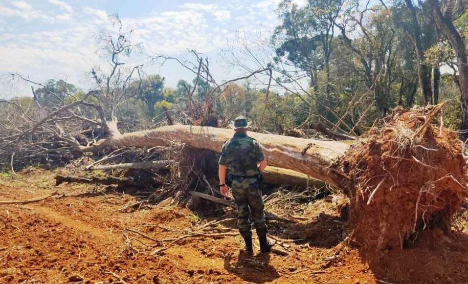 Proteção da fauna paranaense é intensificada com fiscalizações e autuações do Batalhão de Polícia Ambiental no Paraná