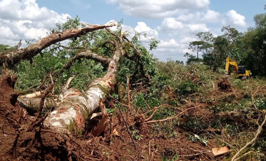 Proteção da fauna paranaense é intensificada com fiscalizações e autuações do Batalhão de Polícia Ambiental no Paraná