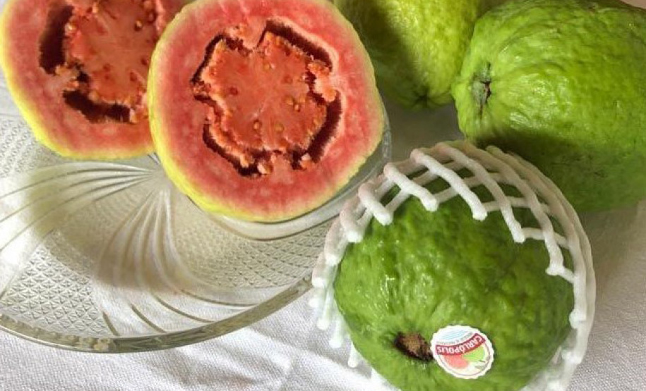 Frutas paranaenses ganham mercado internacional