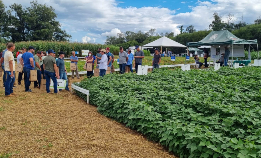 IDR-Paraná apresenta alternativas para uma agricultura mais sustentável e lucrativa nas culturas de feijão e milho