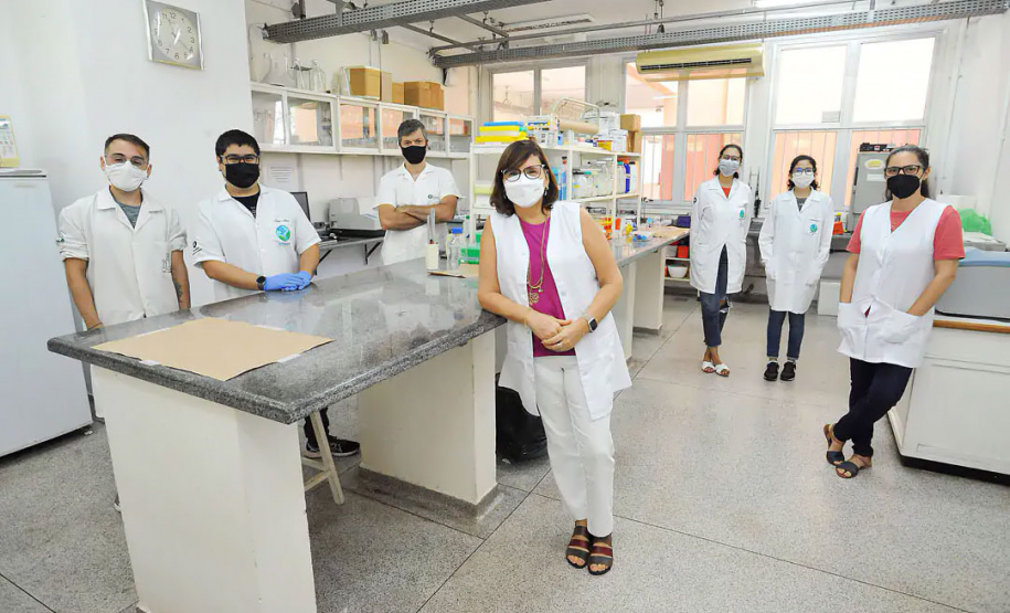 Projeto estuda uso de nanobiopesticidas como alternativa para proteção do ambiente