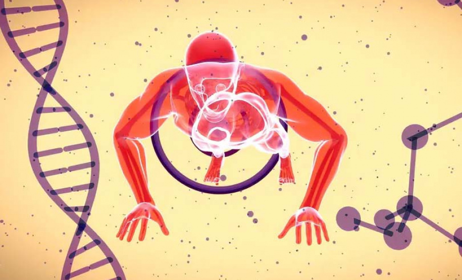 Laboratório de Fisiopatologia promove Simpósio Brasileiro de Biologia Muscular