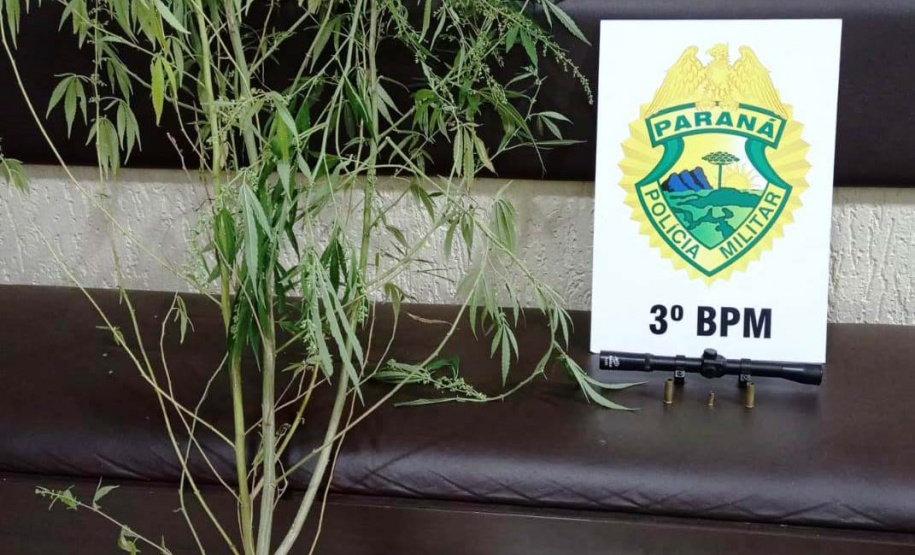 Mais de 25 mil pessoas são abordadas e 323 presas pela Polícia Militar durante o Carnaval 2022 no Paraná